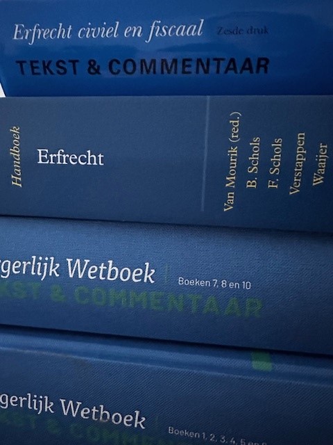 wilsbekwaam testament